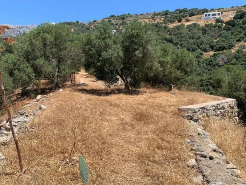 Sellia bei Plakias Kreta, Sellia: Erstklassiges Grundstück mit Meerblick in der Nähe von Plakias zu verkaufen Grundstück kaufen
